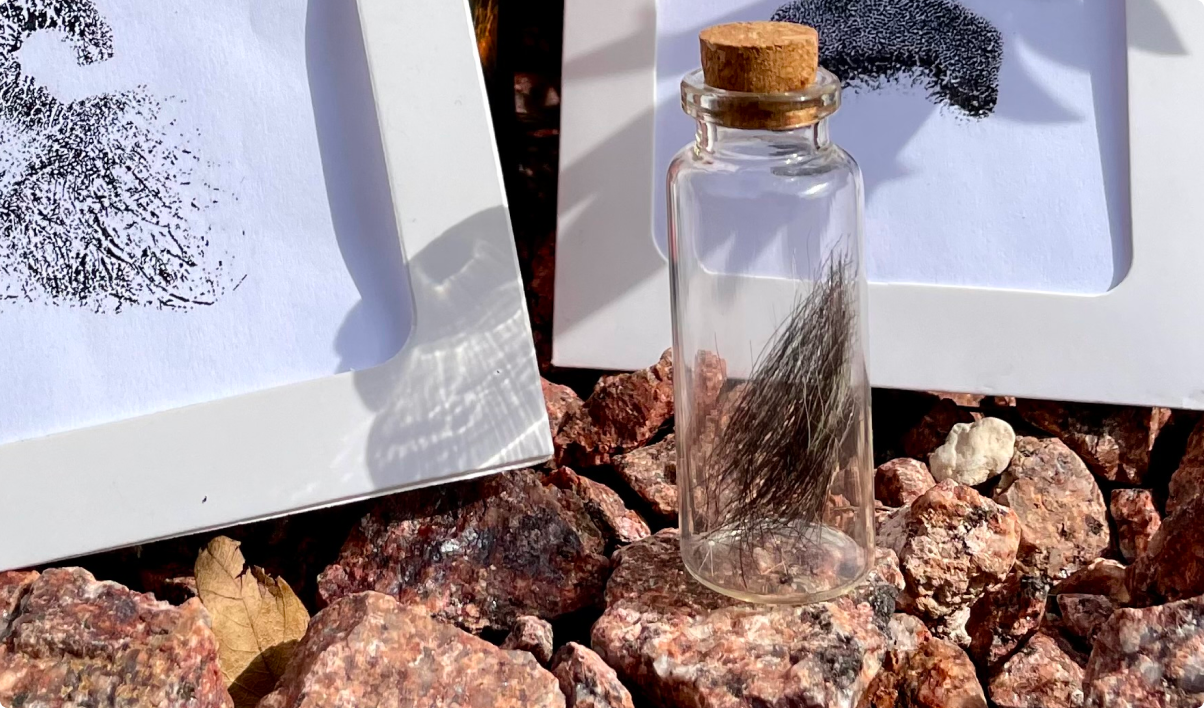 Spreading Ashes