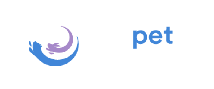 Perpetual Memories